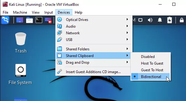 Enabling shared clipboard for Kali Linux virtual machine