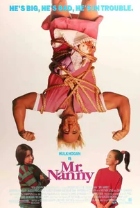 Mr. Nanny